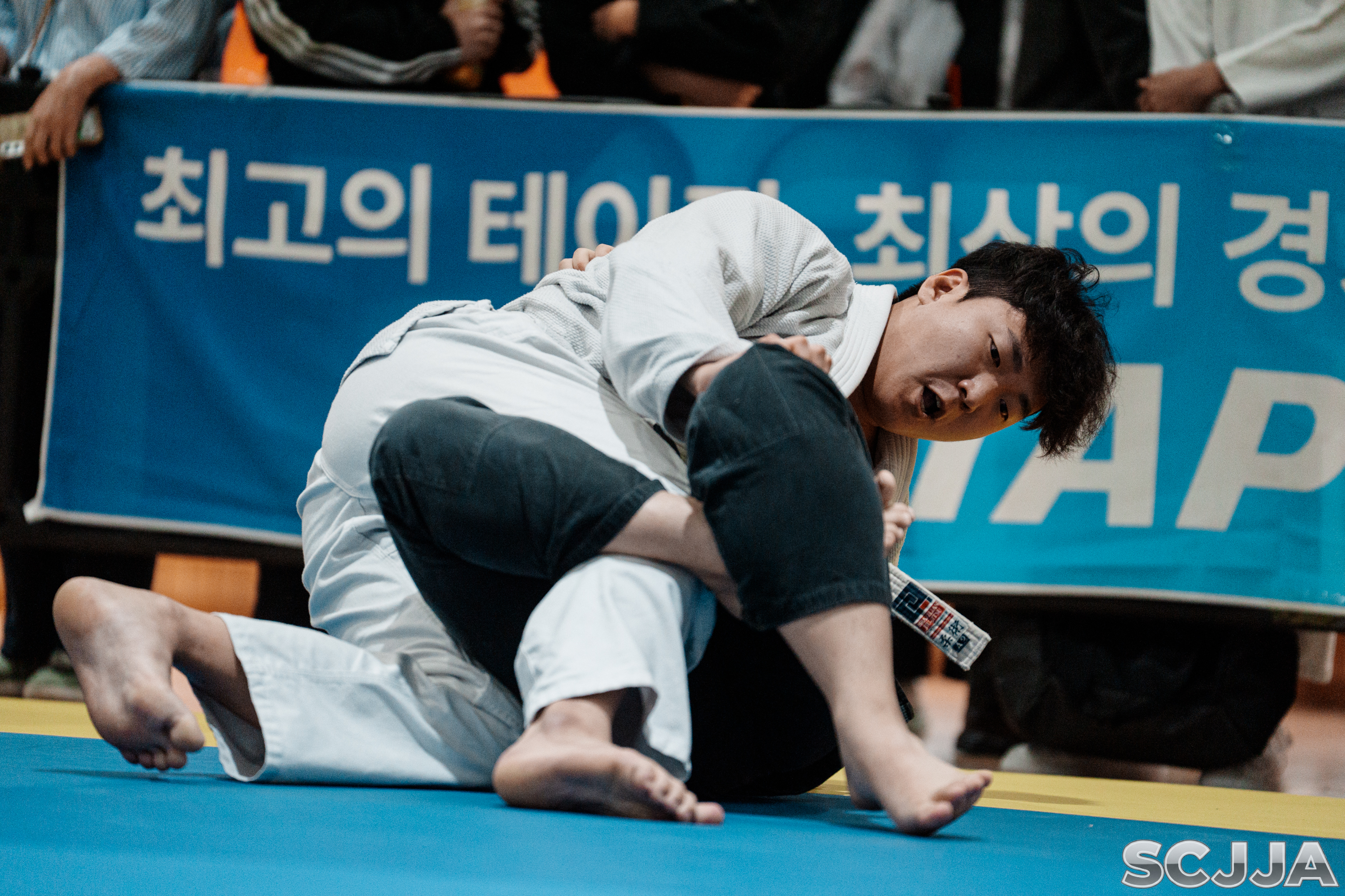 261010 104256 서초구회장배  5686.jpg